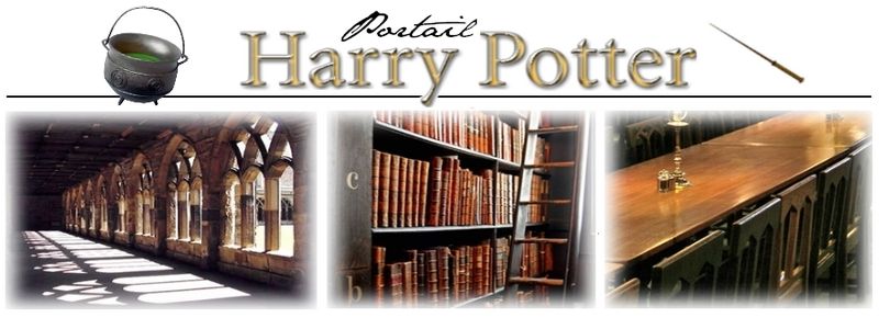Banner of the Harry Potter French portal on Wikipedia.