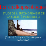 Collapsology: the risks of collapse of industrial civilization.