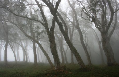 La culpabilité est-elle utile ?